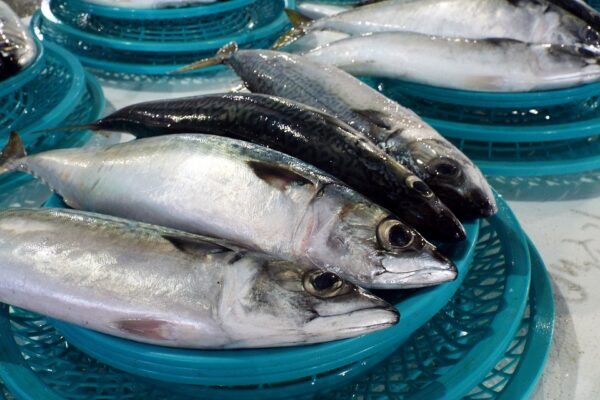 Jakie przetwory robi się z ryb i czemu winniśmy konsumować ryby?
