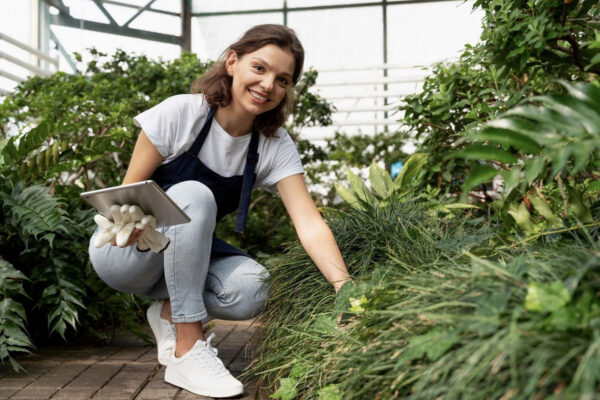 Jak zaplanować ogród, aby był funkcjonalny i ładny