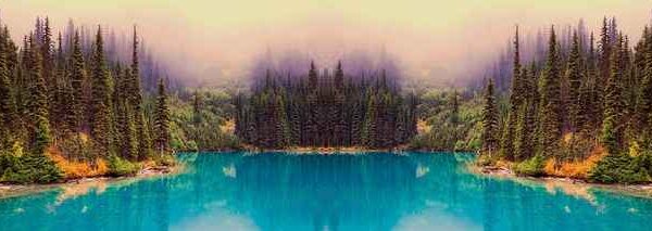 Jak wygląda profesjonalne czyszczenie dachu? Efekty i pułapki oczami ekspertów